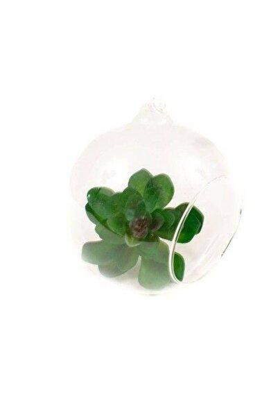 OEM Glob Din Sticla Cu Orificiu 8 Cm