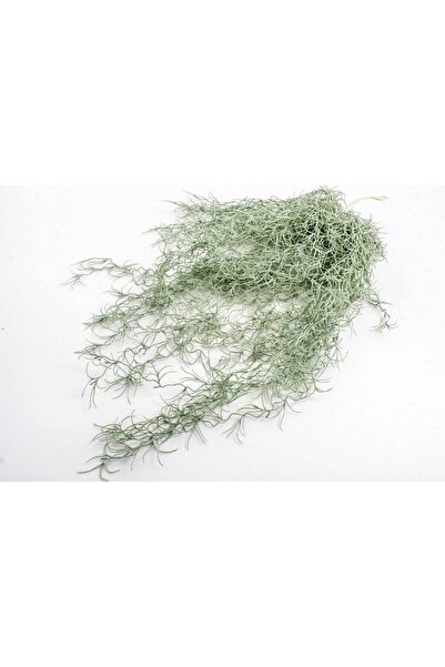 OEM Flori Artificiale Buchet Iarba Creata Verde Prafuit