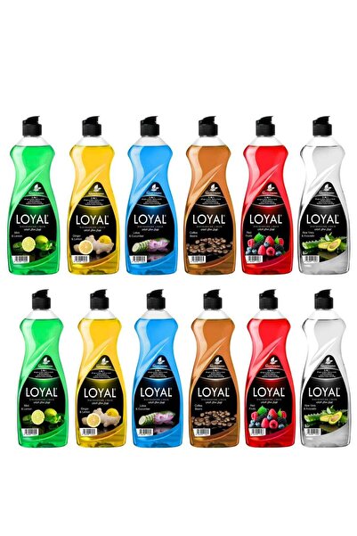 Loyal Dishwashing Liquid 700ml Pack Of 12