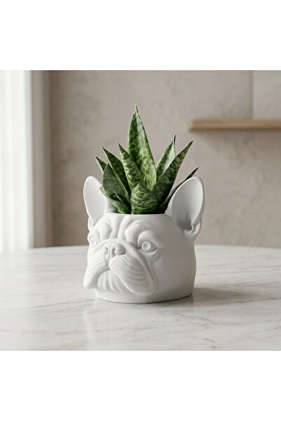 OEM Mini decorative flower pot in the shape of a bulldog head