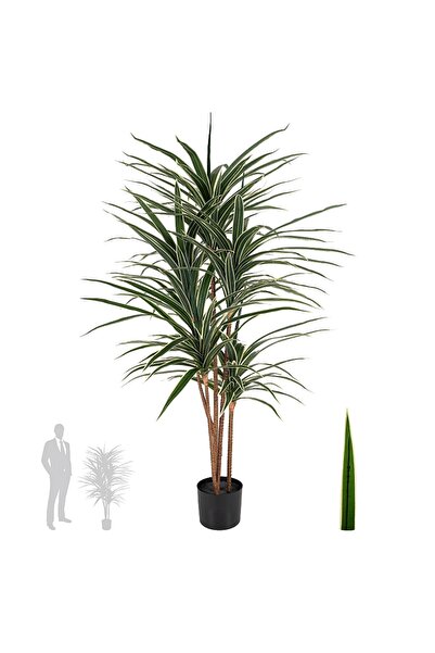 Roberto Rossi Dracaena artificiala marginata cu 180 frunze verzi cu alb H150 cm