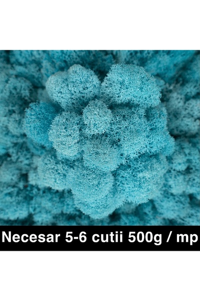 Roberto Rossi Licheni curatati si fara radacina conservati 500g NET, calitate...