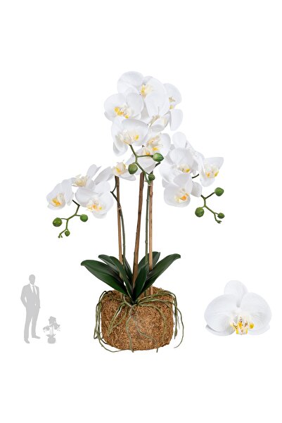 Roberto Rossi Orhidee artificiala alba cu aspect H65 cm cu 3 tulpini
