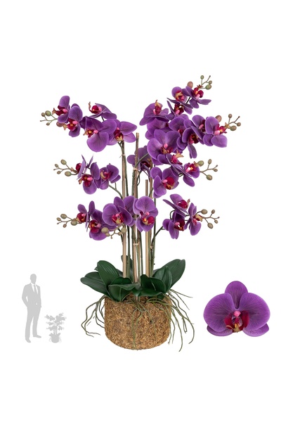 Roberto Rossi Orhidee artificiala mov cu aspect H71 cm cu 9 tulpini