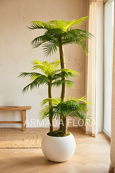 Armada Flora 170 cm 3 Gövdeli Premium Yapay Palmiye Küre Saksılı