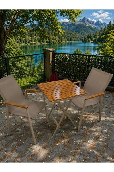 AuraBelle Tekstil Modern Fileli Bahçe Balkon Sandalyesi Ahşah Kolçaklı Siyah ...