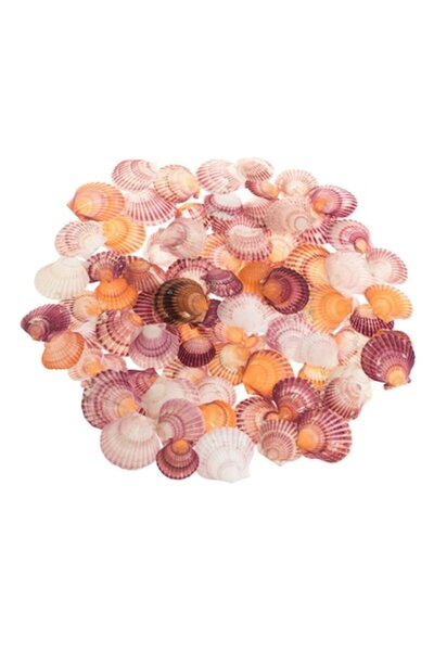 IRO Scoici decorative roșii, violet și portocalii, de diferite dimensiuni, 300g