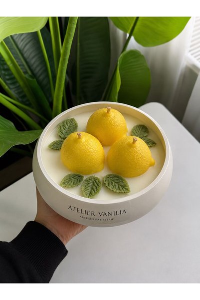 Hediyeni Al VANILIA ATELIER | El Yapımı Taş Tozu Beton Saksılı Limon Dekorati...