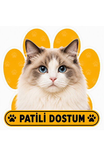 Parti Tasarla Pawed Friend Ragdoll Cat Sticker |   20X15 cm Self-Adhesive Foil