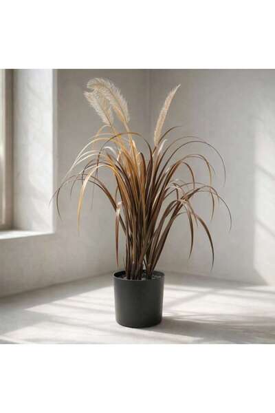 PAN HOME Perennial Potted Onion Grass Bush With Pampas H90cm - Brown