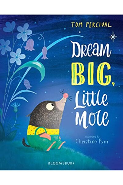 Bloomsbury Dream Big Little Mole