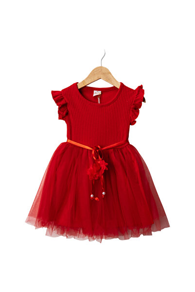 LENDASHOP Girl's Cotton Fabric Tulle Dress with Ruffle Sleeves, Ages 2-5