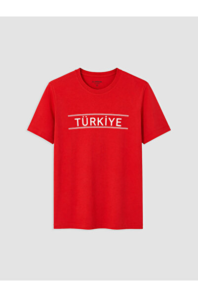 LC Waikiki Vizyon New Season Crew Neck Turkey Printed Men's T-Shirt