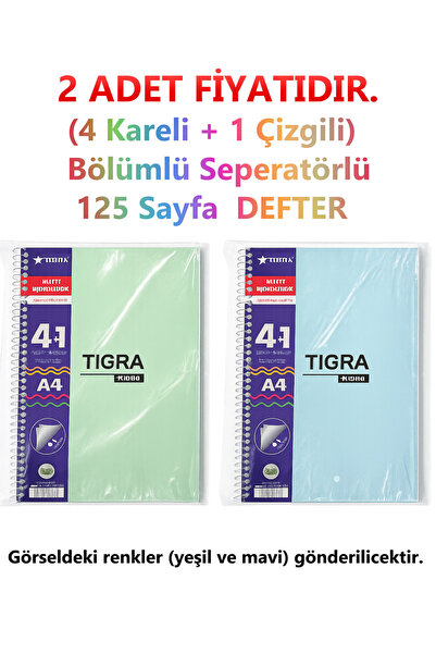 Tigra 2 Pcs 125 Page Sectioned Notebook 4+1 Sections 4 Squares 1 Line Plastic...