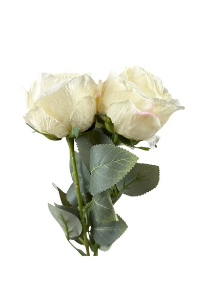 OEM Set 2 Trandafiri Artificiali Crem, Set de 3 Piese (cu bază și floare)