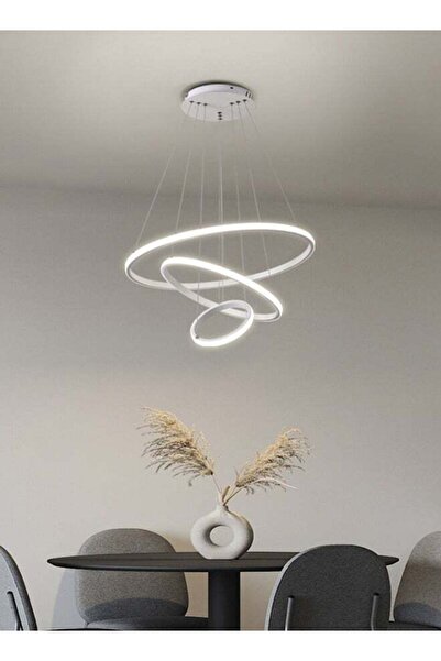 ERENYEA 3 Ring Dining Room Chandelier Light Color Variable Light 60W Ceiling ...