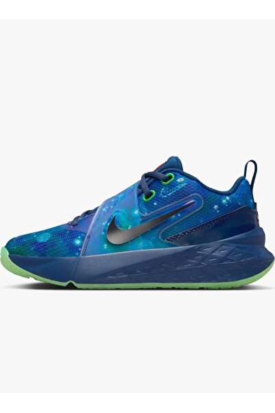 Nike Team Hustle D 12 x LEGO® Gs Basketbol Ayakkabısı -KUZEY SPORT