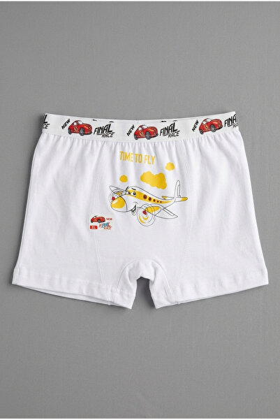 PANİVUE Boys' Colorful and Cute Patterned Cotton Boxers