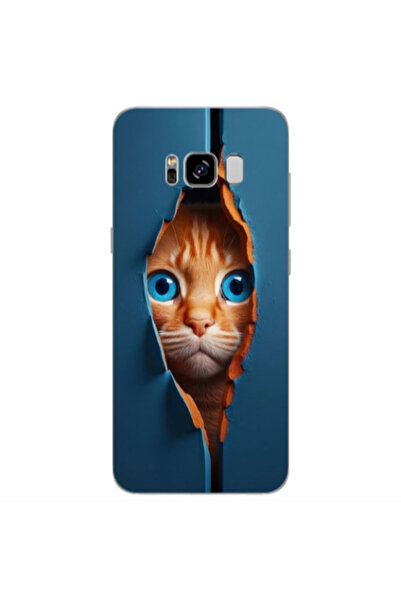 Other Samsung S8 Plus Cat Blue Eyes Transparent Silicone TPU Θήκη