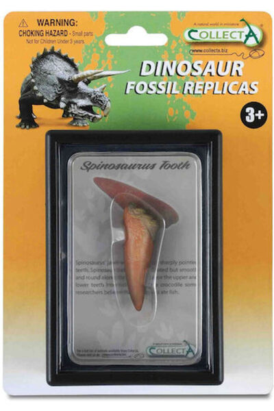 Collecta Dinte de Spinosaurus în cutie 11.5cm