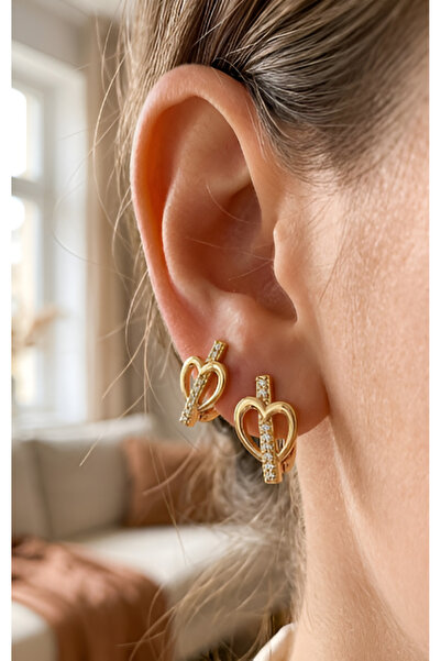 Elora Veyn Women's Heart Figured Crystal Stone Steel Earrings