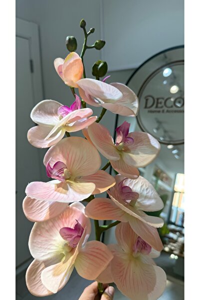 DECORİS HOME & ACCESSORIES Yapay Islak Pembe Orkide 100 cm
