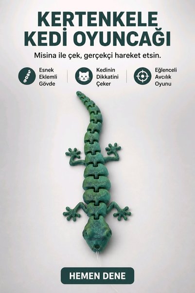 DIYMaX Interactive Cat Play Wand with Jointed Lizard Figure