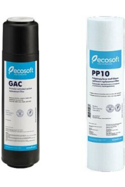 ECOSOFT Ανταλλακτικό Φίλτρο Νερού Αντίστροφης Όσμωσης 10 ιντσών 2 τεμάχια