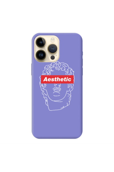 Other Apple iPhone 13 Pro Max Aesthetic Purple Colored Silicone TPU Θήκη