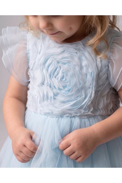 aysskids Mia Tulle Rose Detailed Birthday Special Day Princess Girl's Dress