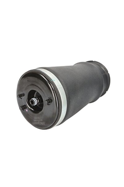 MAGNUM TECHNOLOGY Perna de Aer Spate Dreapta Bmw 5 (e39) 2.0-4.4 09.95-05.04 ...