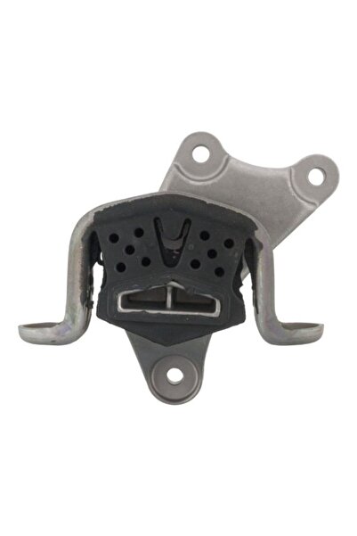 FEBI BILSTEIN Suport Motor, Cutie Automata Spate Stanga (manual) Vw Californi...