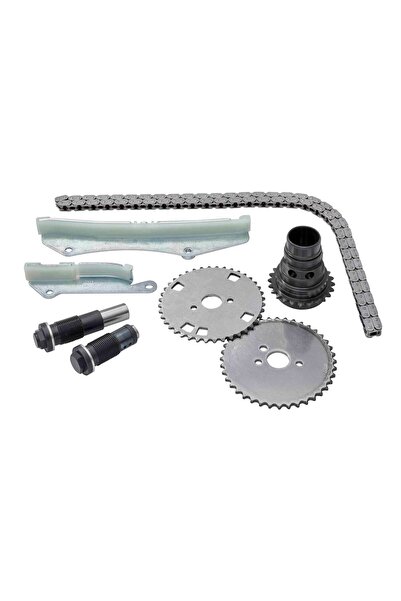 BORG-WARNER Chit Lant de Distributie (lant + Pinion) Iveco Daily Vi 3.0cng 03.14