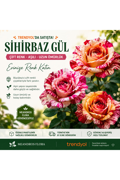 meandros flora Sihirbaz gül