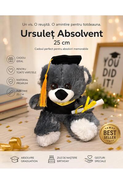 OEM Ursulet de Plus Absolvent cu Diploma Cadou pentru Absolvire si Festivitati