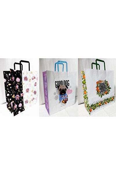 OEM Punga hartie Fresh multicolor 25x38x15cm set