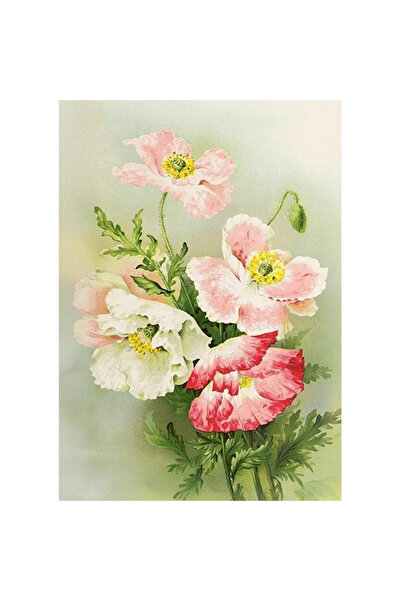 Skona Ting Felicitare B6 multicolor cu plic