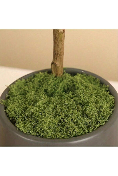 OEM Muschi artificial, pentru plante de ghiveci, 40g