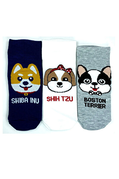 mtm My The Mall Apparel 3 Pairs Cute Dog Themed Printed Soft Women's Ankle Socks