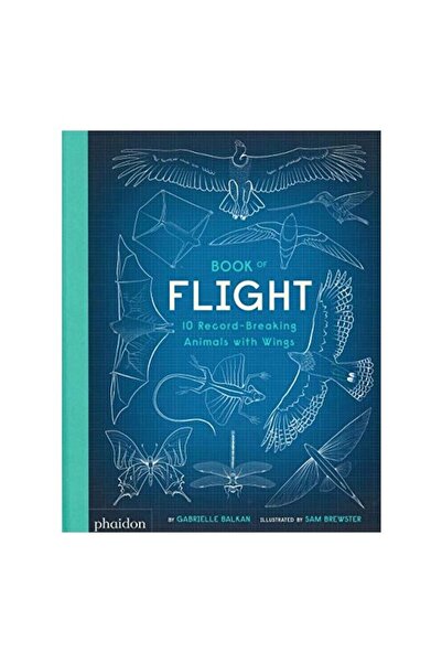 Phaidon Cartea Zborului