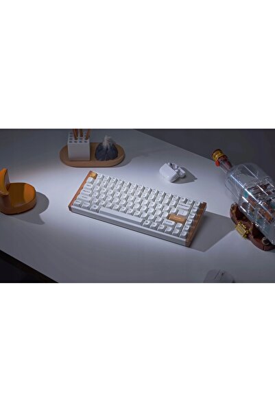NO BRAND Tastatură KEYCHRON K2 HE Wireless cu switch-uri magnetice Ediție Spe...