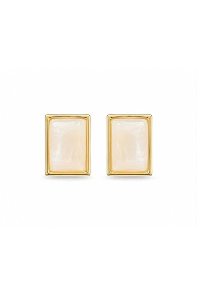 CHARMLUCKY Steel Emma Earrings