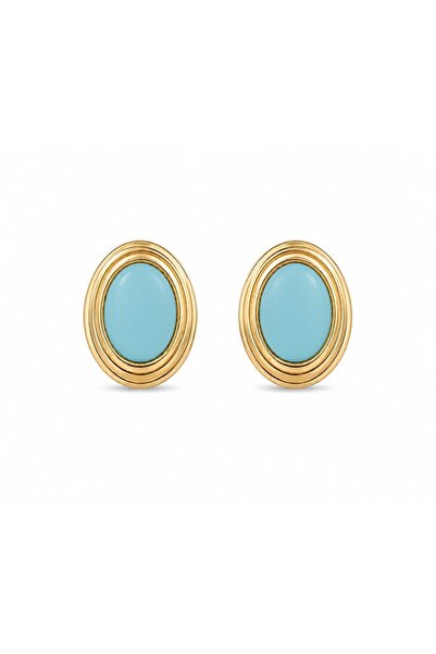 CHARMLUCKY Steel Alina Earrings