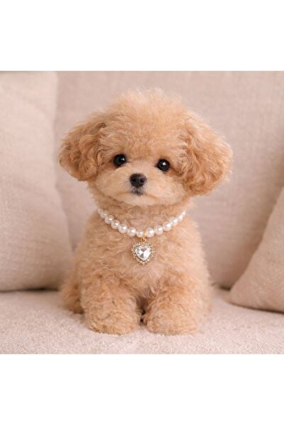 JACQUELINE Pet Collar with Beads 35 cm