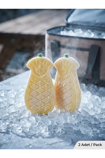 THORSTORE MİNİ BUZ AKÜSÜ İKİLİ SET ANANAS 300 ML