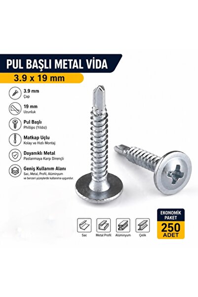 Std S3925 Metal Pul Başlı 3.9x19 mm Akıllı Vida Pul Başlı 19 mm Vida (250 Adet)