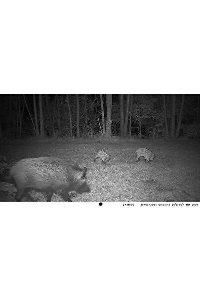 NO BRAND Tophunt hc-950pro cameră foto pentru animale sălbatice 4K 4G LTE cap...