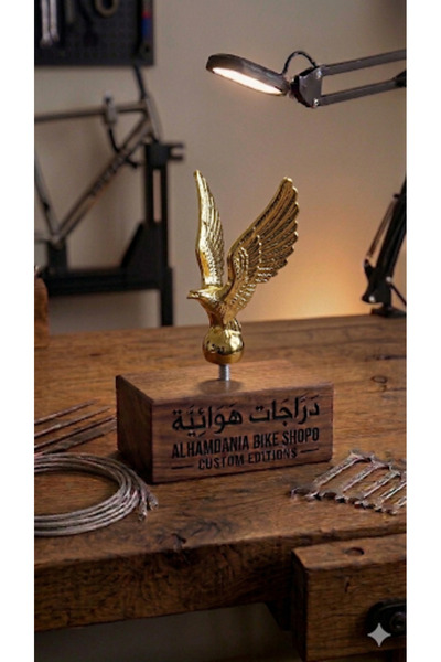 Other Golden Eagle: Fly Your Bike to Excellence