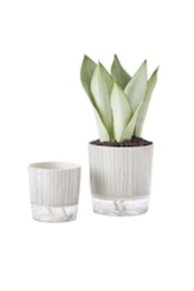OEM Ghivece elegante, rotunde, cu suport plastic, gri cu negru, 2 buc