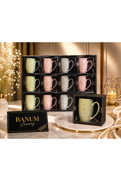 Banum Luxury Premium Ceramic Modern Special Design Boxed Mug